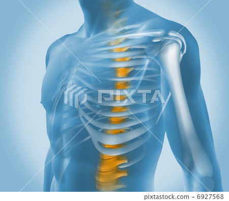 Transparent digital body Transparent digital body 6927568