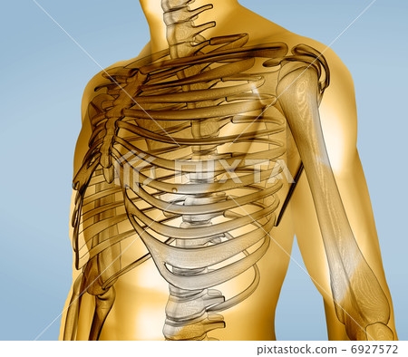 Yellow digital body with visible skeleton Yellow digital body with visible skeleton 6927572