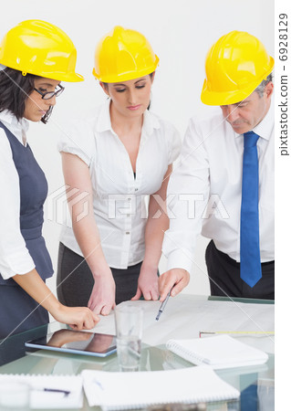 Architects looking at plan Architects looking at plan 6928129