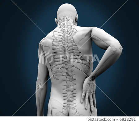 Skeleton having pain on his back - Stock Illustration [6928291] - PIXTA