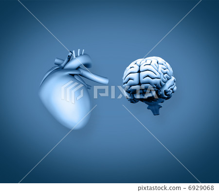 Heart and brain 6929068