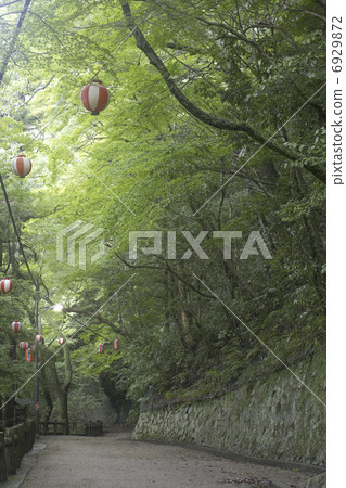 美濃國家紀念碑公園明治森林 6929872