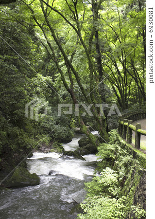 Mino National Monument Park Meiji Forest Mino National Monument Park Meiji Forest 6930081