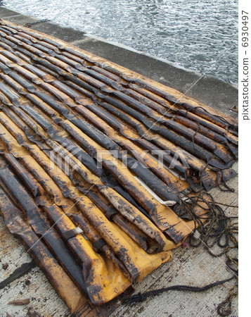 附有油的油籬芭 6930497