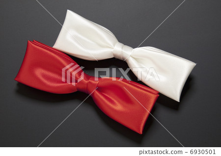 Two color bowtie 6930501