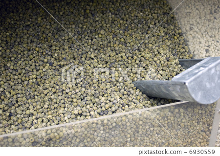 Ethnic spice Ethnic spice 6930559