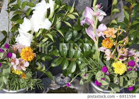 Tomb of the cemetery 6931594