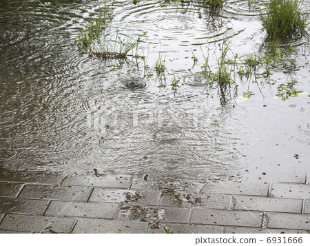 Pedestrian park sidewalk 6931666