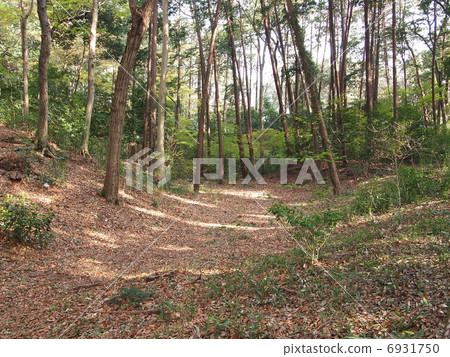 東京Shakujii城堡土基和海洋 6931750