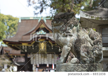 Guardian dog at Kitano Tenman-gu Shrine and Sankimon 6931838