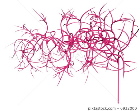 Peripheral nerve · capillary (transparent back · left deployment) 6932000