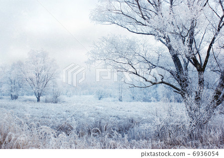 winter evening landscape with falling snow 6936054