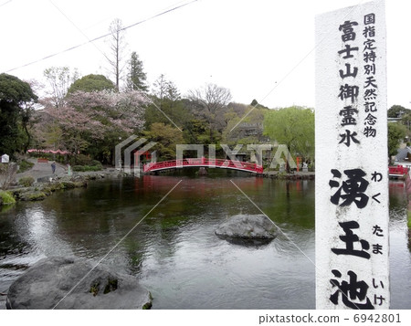 Spring spring pond 6942801