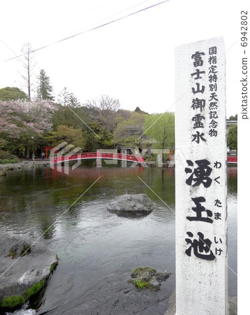 Spring spring pond 6942802