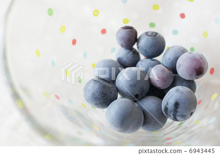 藍莓 藍莓 6943445