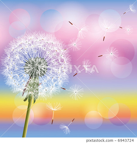 Dandelion on background of sunset, vector Dandelion on background of sunset, vector 6943724