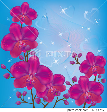 Bright background orchids Bright background orchids 6943747