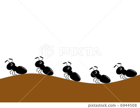 阿里的排 6944508