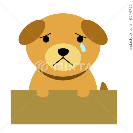 被遺棄的狗 6944732