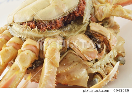 雪蟹 6945989