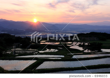 Terraced rice fields at dusk 6946033