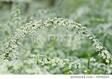 繡線 繡線 6946093