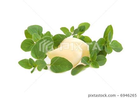 Ingredients for cooking Ingredients for cooking 6946265