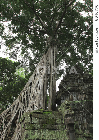 Ta Prohm near Angkor 6946770