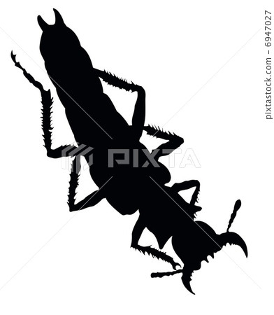Insect isolated. Vector silhouette. EPS 8 6947027