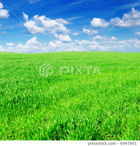 spring meadow 6947601