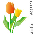 Tulip 6947898