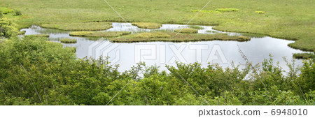 Yashima Mogara Yashima Mogara 6948010