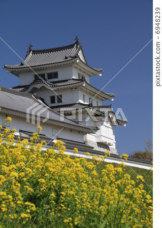 Sekijuku Castle Museum Sekijuku Castle Museum 6948239
