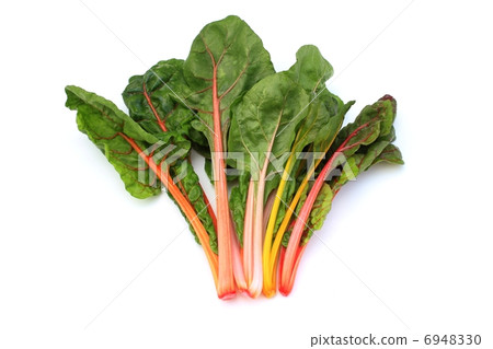 Swiss Chard Swiss Chard 6948330