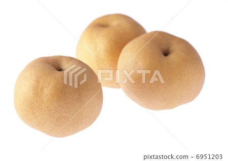 Asago梨 Asago梨 6951203