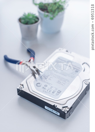 Hard disk and plants and pliers 6951318