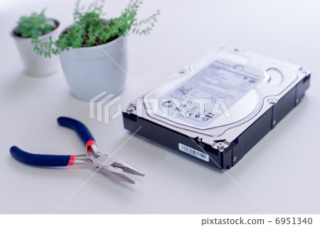 Data restoration image: Hard disk and plants and pliers Data restoration image: Hard disk and plants and pliers 6951340