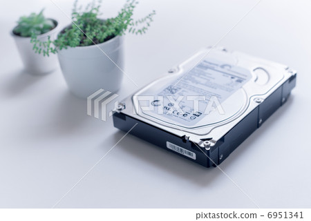 Eco, net Business image: Hard disk and plants Eco, net Business image: Hard disk and plants 6951341