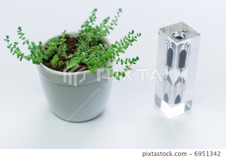 休息的形象:植物和沙漏 休息的形象:植物和沙漏 6951342