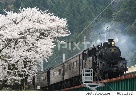 櫻花和蒸汽機車c10 櫻花和蒸汽機車c10 6951352