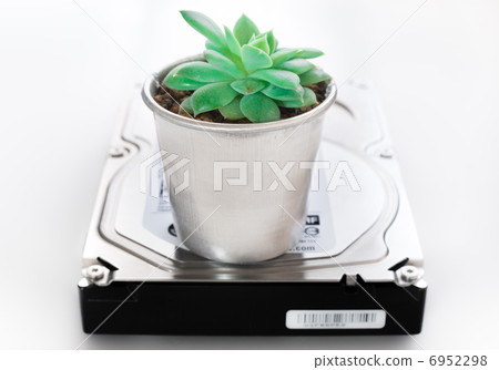Eco, net Business image: Hard disk and plants 6952298