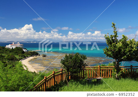 Okinawa Chinen Scope Park Okinawa Chinen Scope Park 6952352