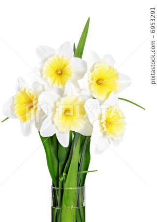 Beautiful spring flowers in vase 6953291