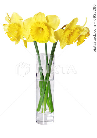 Beautiful spring flowers in vase 6953296