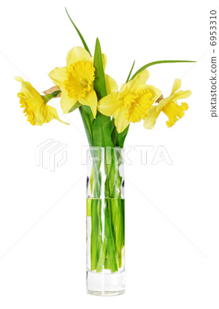 Beautiful spring flowers in vase Beautiful spring flowers in vase 6953310