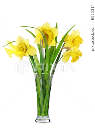 Beautiful spring flowers in vase 6953314
