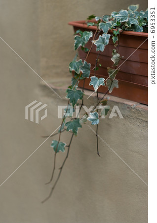 廣場的凸窗 6953351