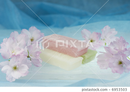 Hujidjig mochi和櫻花2 Hujidjig mochi和櫻花2 6953503
