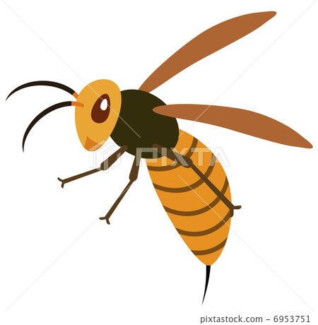 鈴木蜂 鈴木蜂 6953751