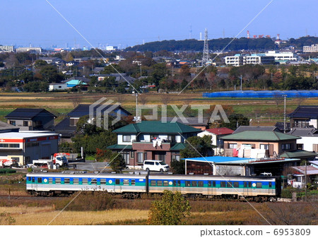 Kurumin和天空樹 Kurumin和天空樹 6953809